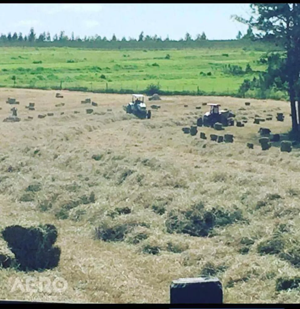 Fazenda à venda com 3 quartos, 400m² - Foto 7