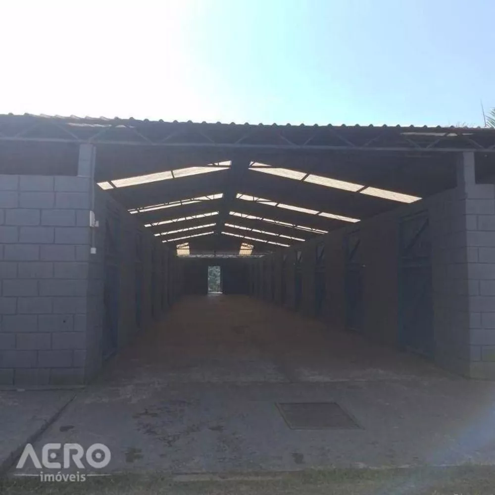 Fazenda à venda com 3 quartos, 400m² - Foto 10