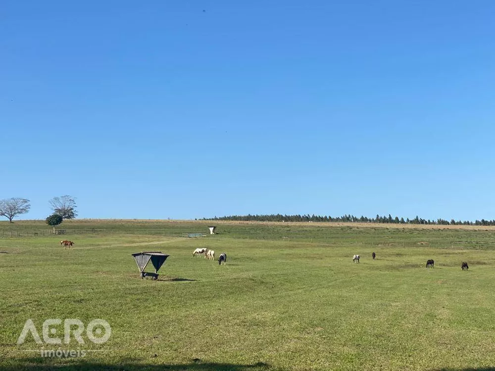 Fazenda à venda com 3 quartos, 400m² - Foto 3