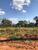 Terreno, 300 m² - Foto 1