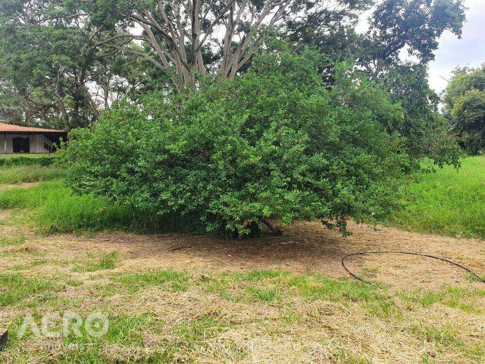 Chácara, 4 quartos, 4 hectares - Foto 35