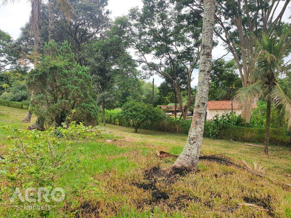 Chácara, 4 quartos, 4 hectares - Foto 4