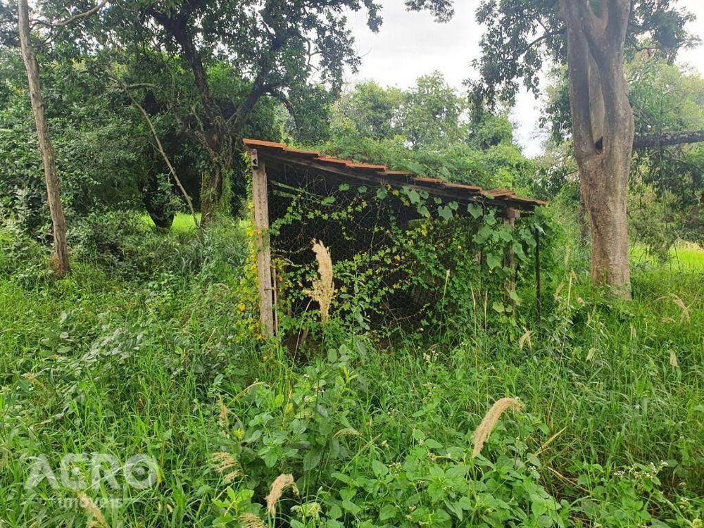 Chácara, 4 quartos, 4 hectares - Foto 36