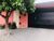 Casa, 3 quartos, 220 m² - Foto 4