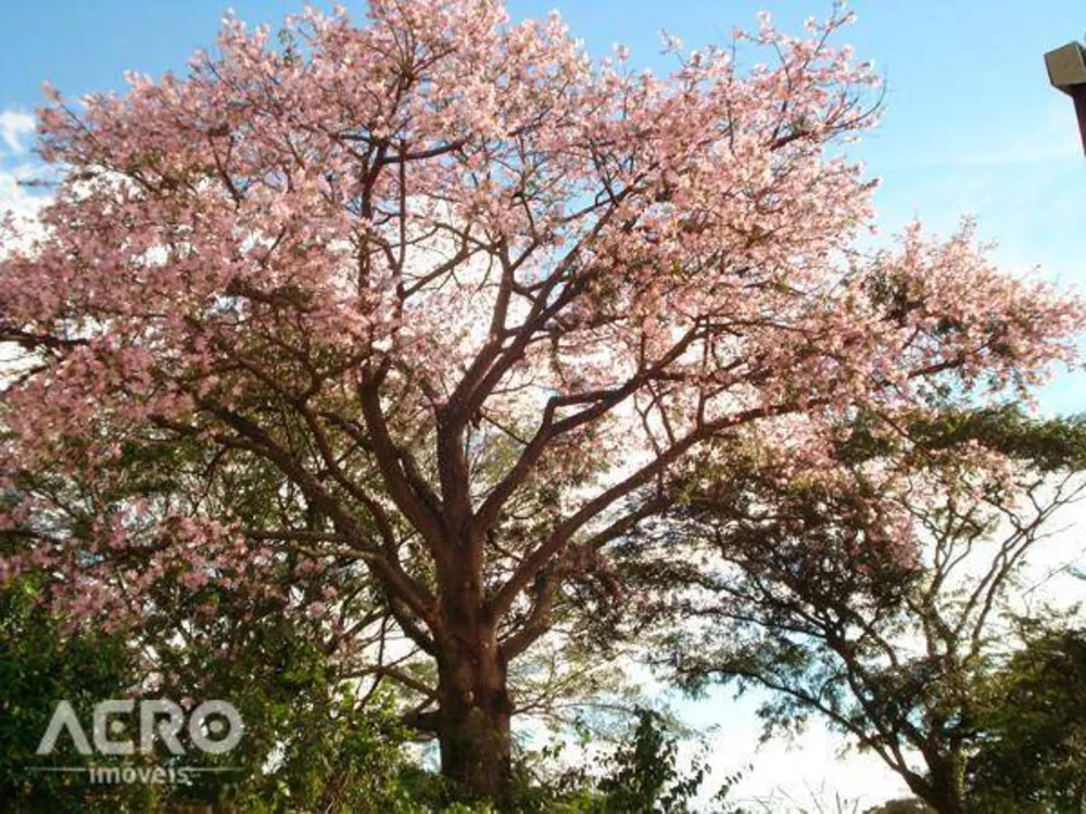Loteamento e Condomínio, 450 m² - Foto 2