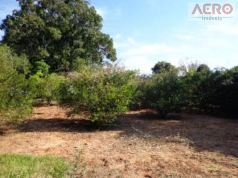 Sítio, 6 quartos, 12 hectares - Foto 13