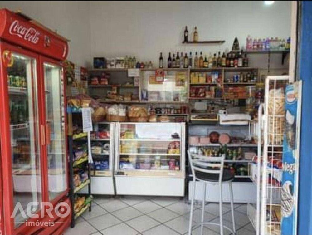 Casa, 3 quartos, 309 m² - Foto 4