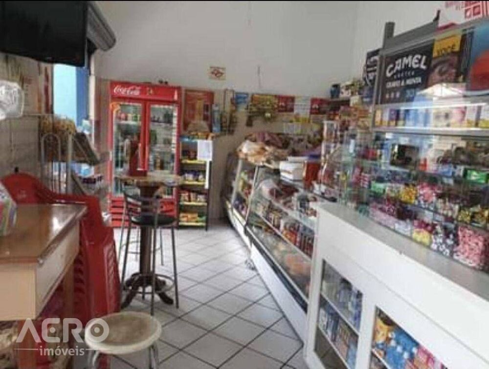 Casa, 3 quartos, 309 m² - Foto 5