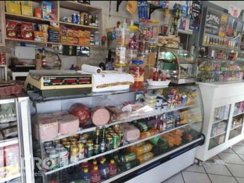 Casa, 3 quartos, 309 m² - Foto 7