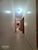Casa, 3 quartos, 310 m² - Foto 13