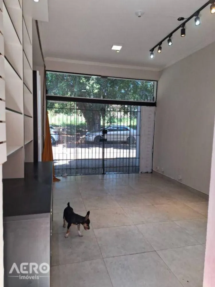 Casa, 4 quartos, 600 m² - Foto 8