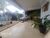 Casa, 3 quartos, 250 m² - Foto 2