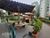 Apartamento, 3 quartos, 65 m² - Foto 2