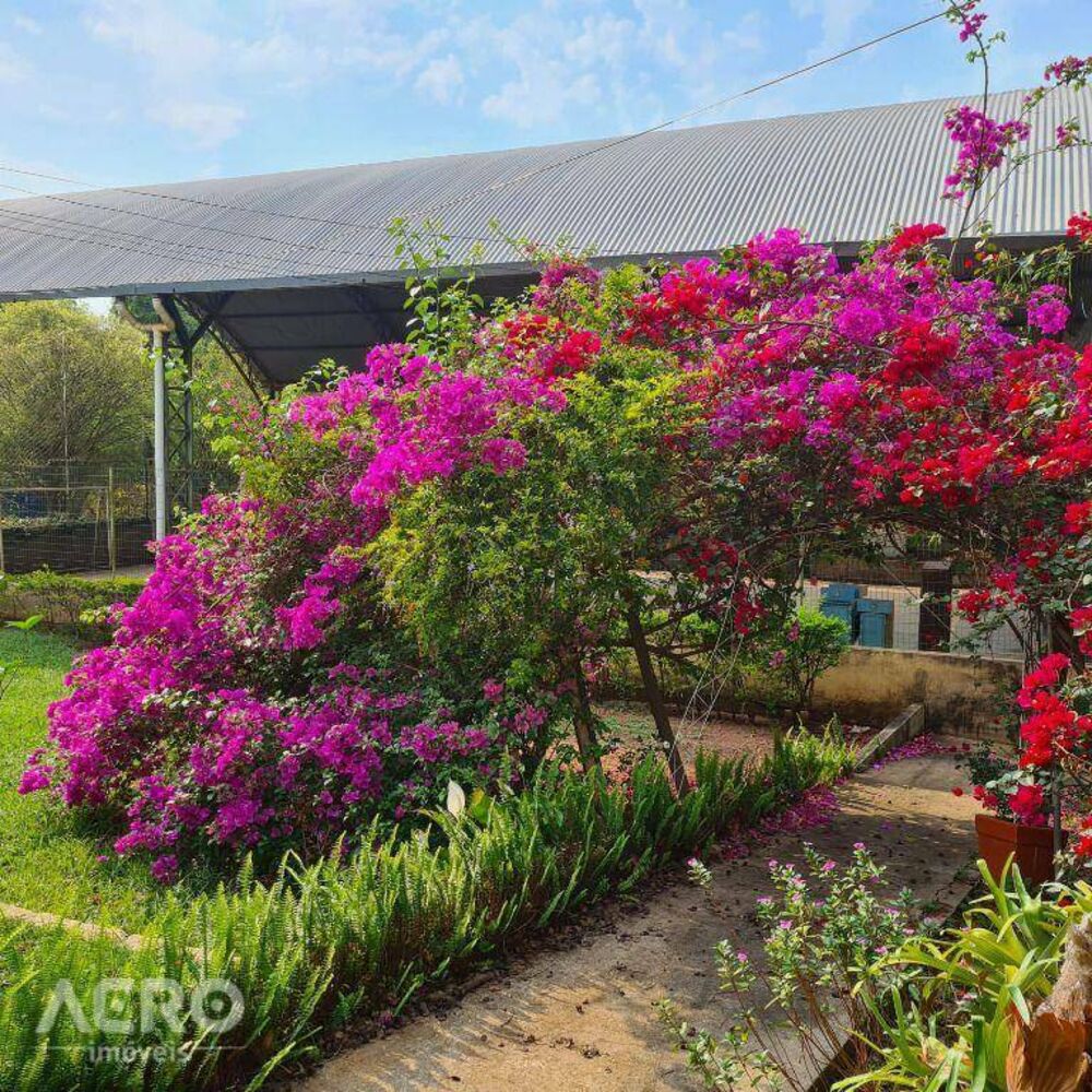 Chácara, 4 quartos, 5000 m² - Foto 22