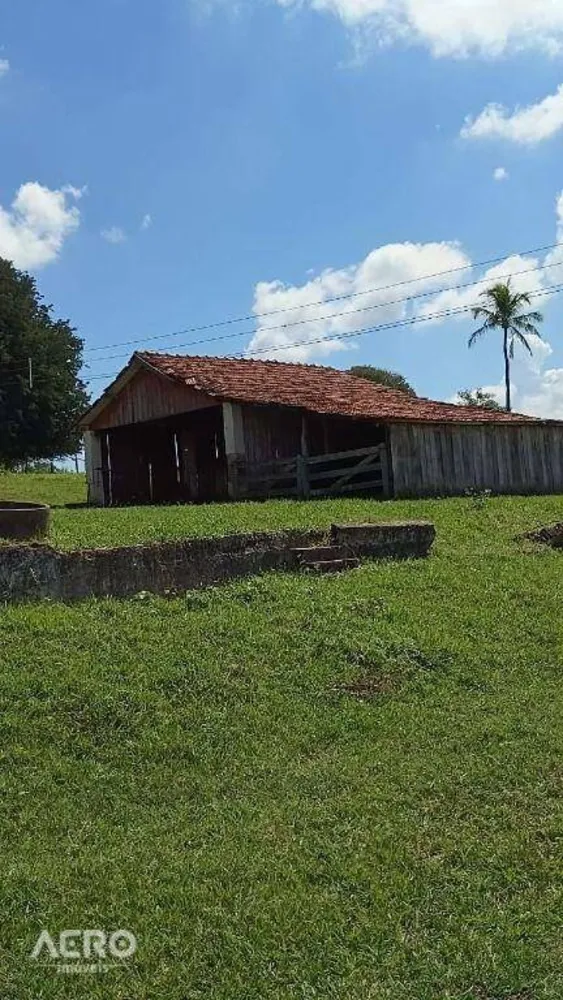 Fazenda, 494 hectares - Foto 3
