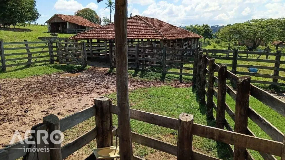 Fazenda, 494 hectares - Foto 1