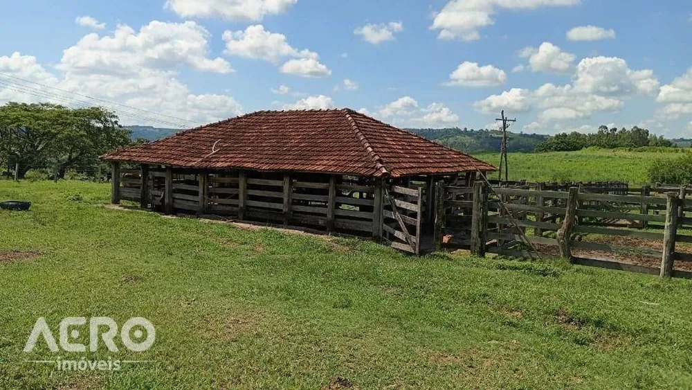 Fazenda, 494 hectares - Foto 5