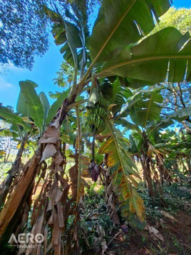Fazenda, 12 hectares - Foto 2
