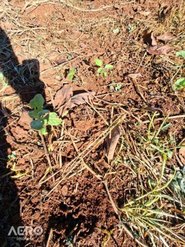 Fazenda, 12 hectares - Foto 1