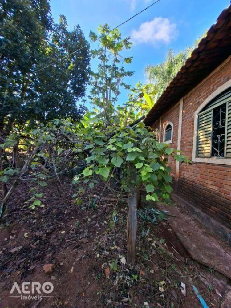 Fazenda, 12 hectares - Foto 4