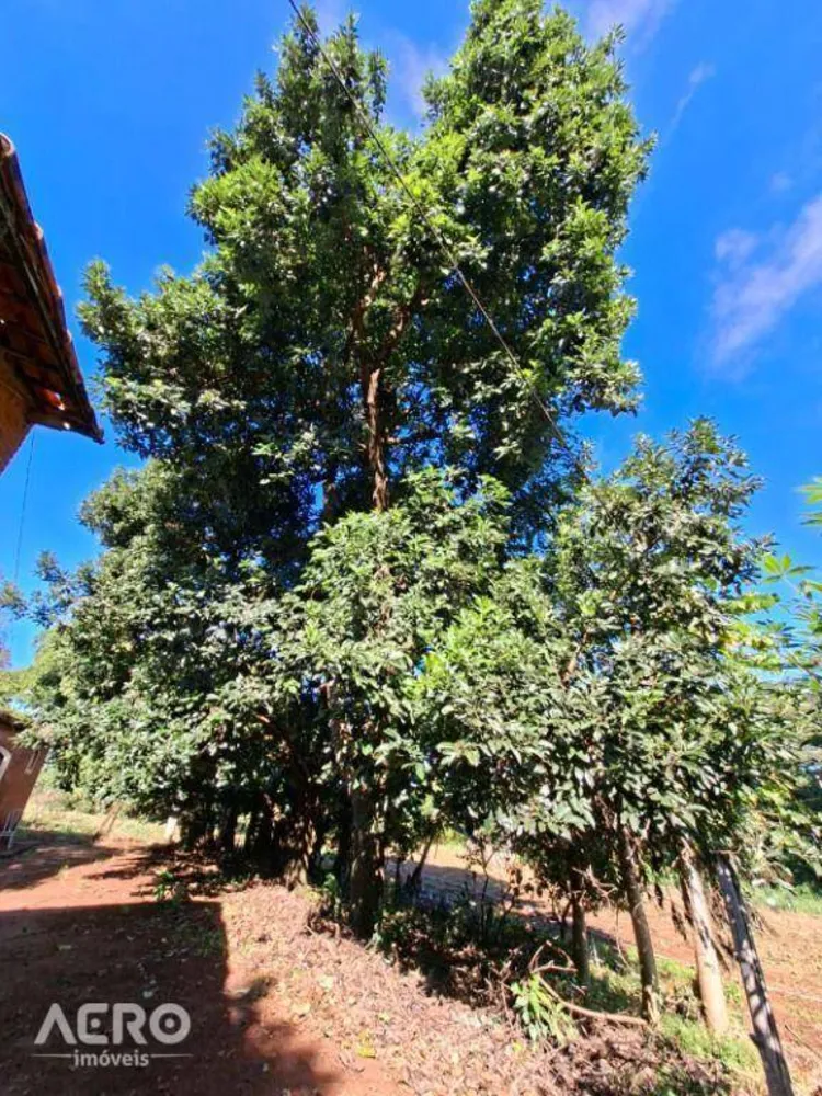 Fazenda, 12 hectares - Foto 7