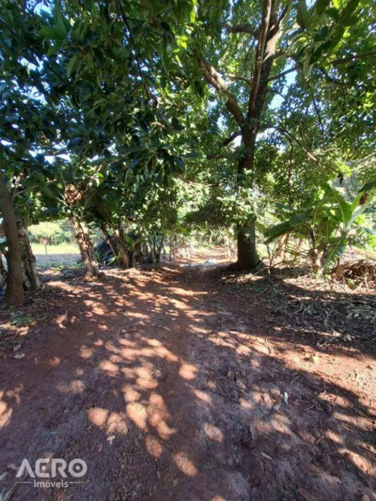 Fazenda, 12 hectares - Foto 3