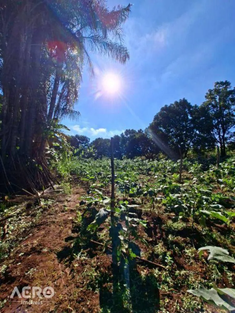 Fazenda, 12 hectares - Foto 8