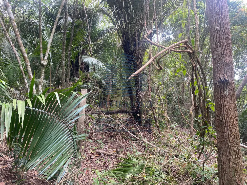 Terreno, 5000 m² - Foto 12