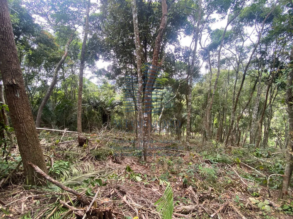 Terreno, 5000 m² - Foto 4