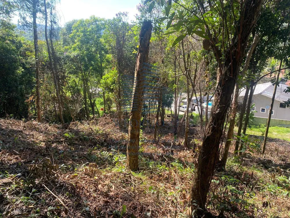 Terreno, 5000 m² - Foto 6