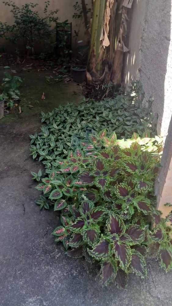 Casa, 2 quartos, 40 m² - Foto 6