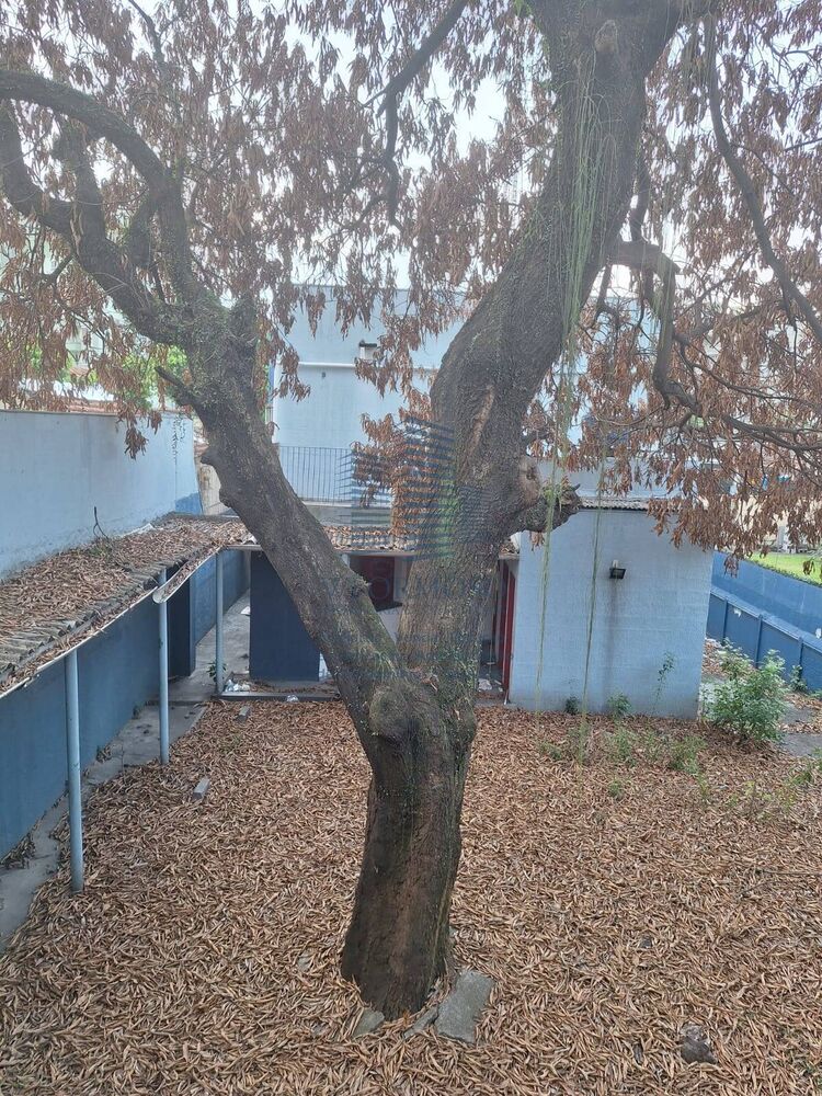 Conjunto Comercial-Sala à venda e aluguel, 528m² - Foto 4