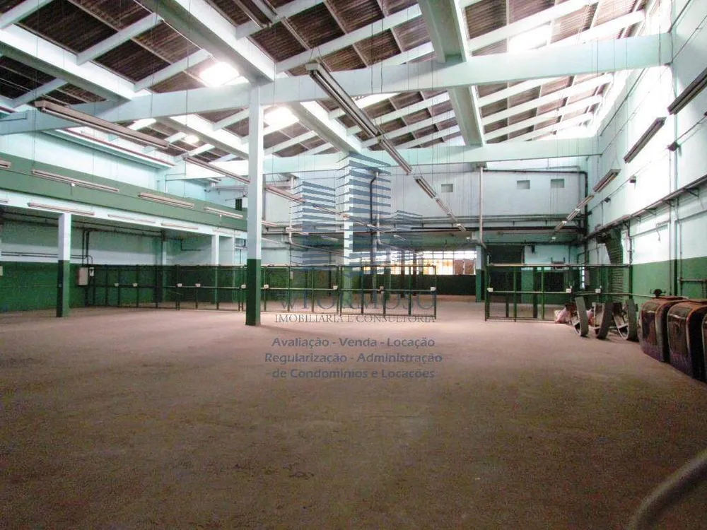 Depósito-Galpão, 6000 m² - Foto 7