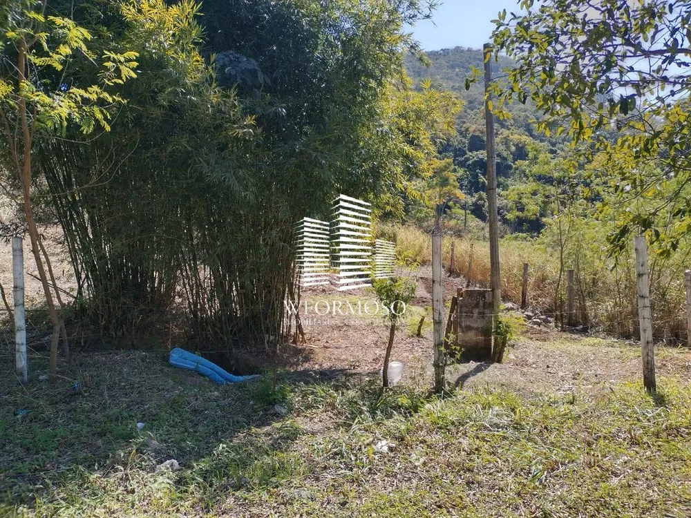 Terreno, 3 hectares - Foto 6