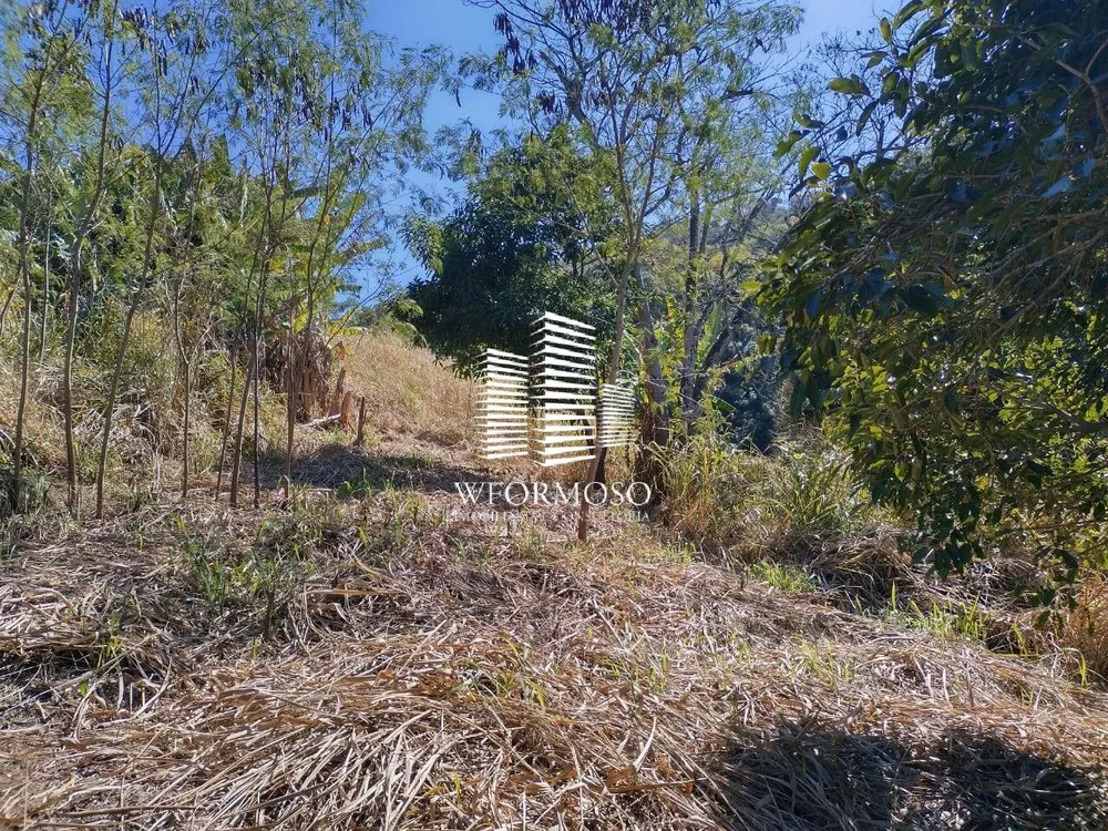 Terreno, 3 hectares - Foto 1