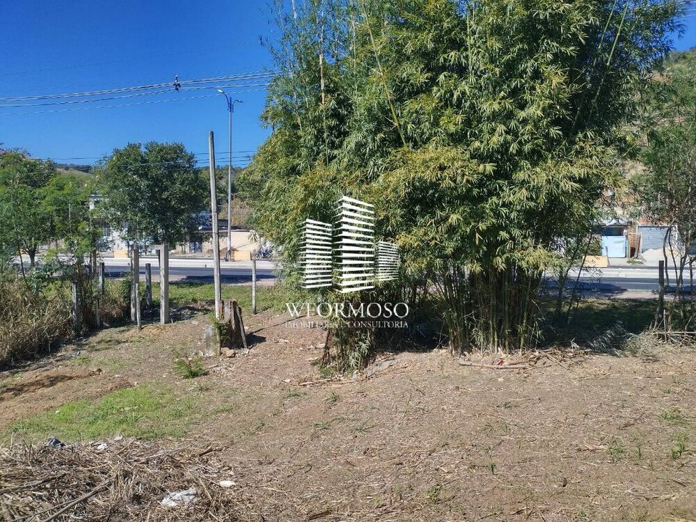 Terreno, 3 hectares - Foto 2