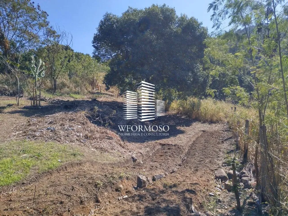 Terreno, 3 hectares - Foto 10