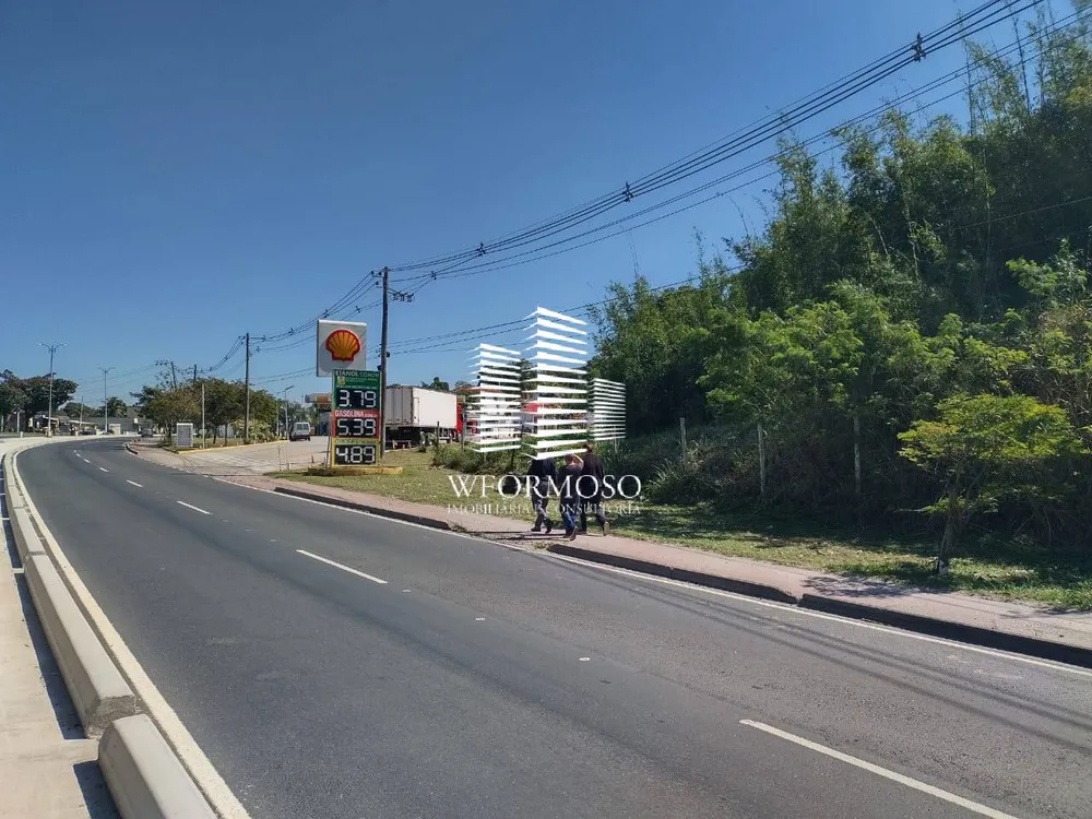 Terreno, 3 hectares - Foto 14