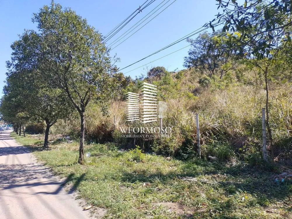 Terreno, 3 hectares - Foto 7