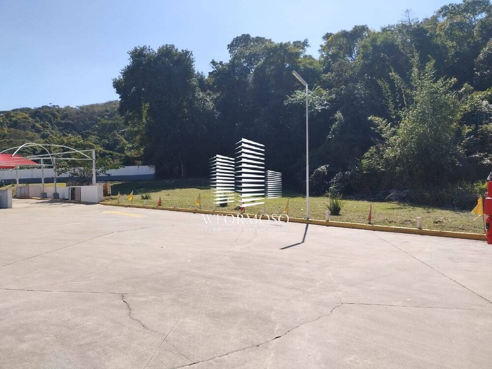 Terreno, 3 hectares - Foto 4