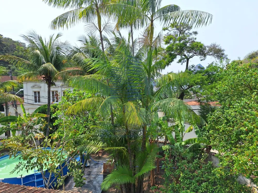 Casa, 4 quartos, 490 m² - Foto 39