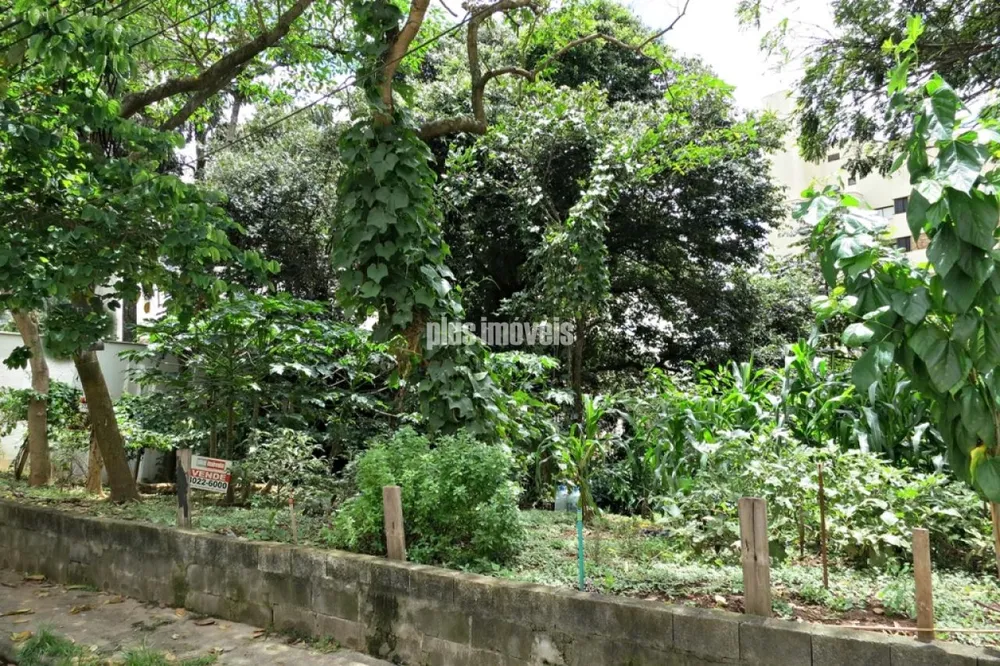 Terreno, 950 m² - Foto 10