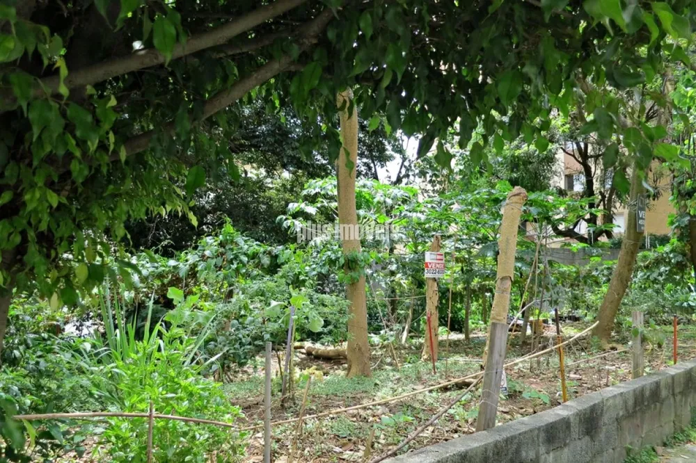 Terreno, 950 m² - Foto 7