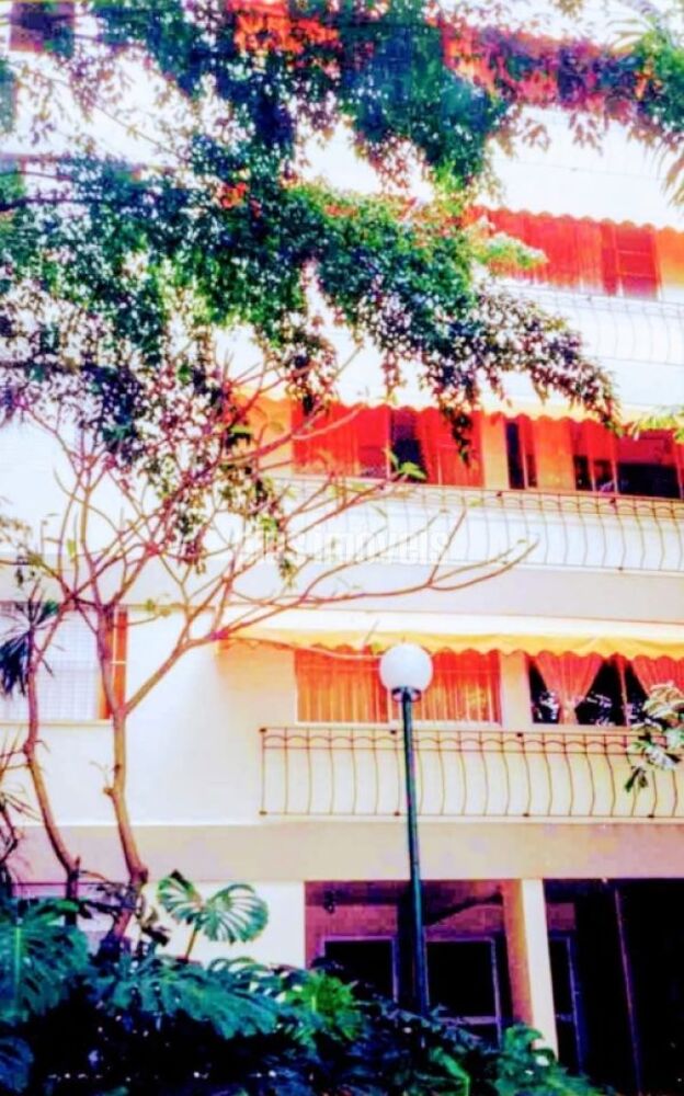 Apartamento, 3 quartos, 80 m² - Foto 25