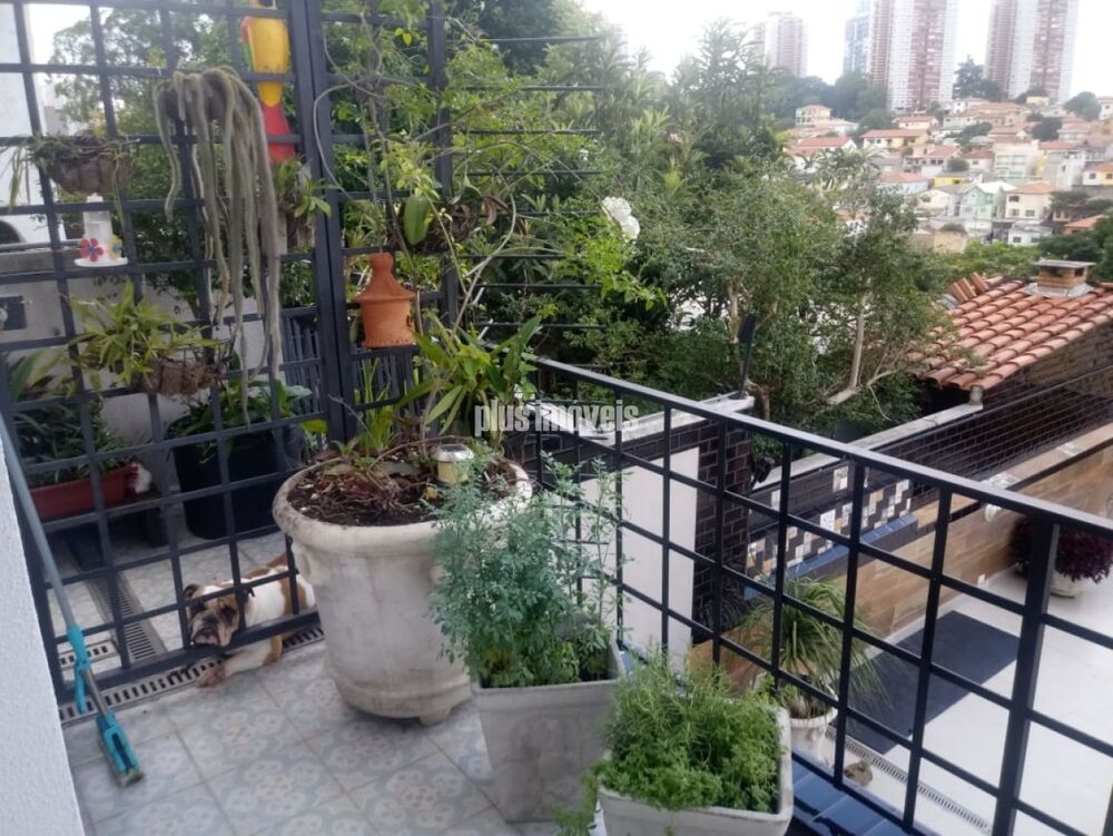Casa, 5 quartos, 380 m² - Foto 7