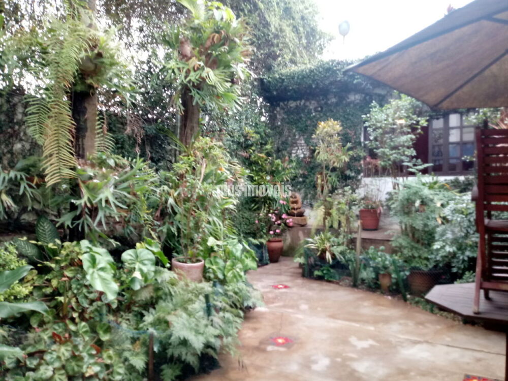 Casa, 4 quartos, 286 m² - Foto 25