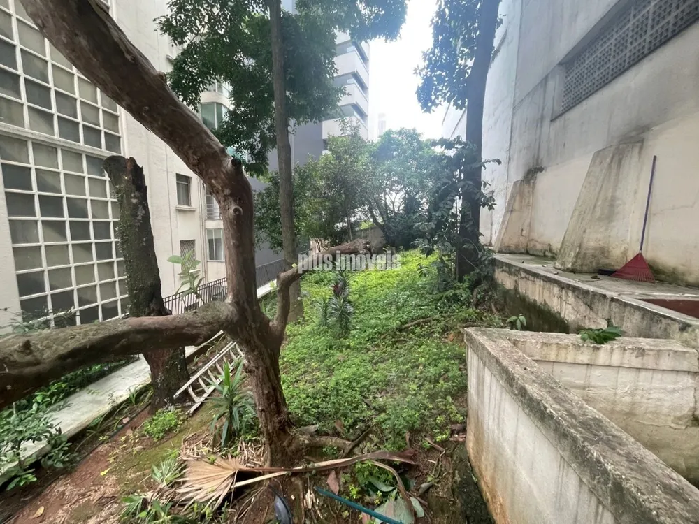 Apartamento, 3 quartos, 350 m² - Foto 2