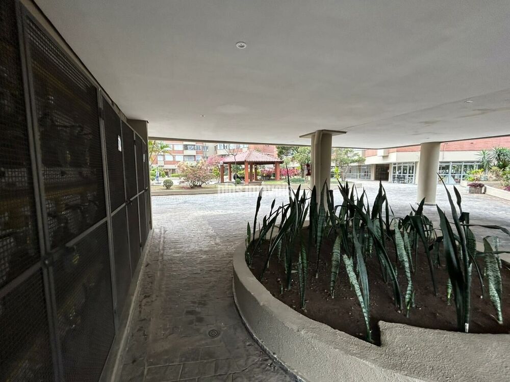 Apartamento, 3 quartos, 86 m² - Foto 32
