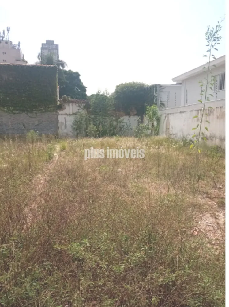 Terreno, 300 m² - Foto 4
