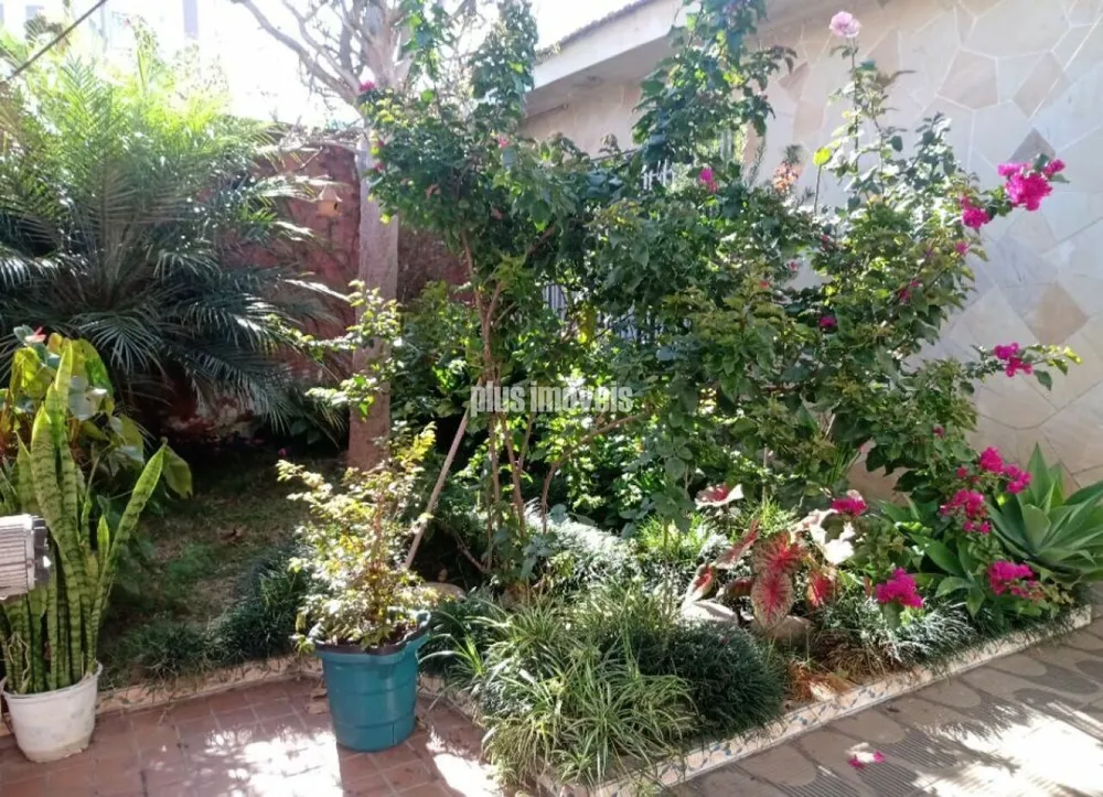 Casa, 3 quartos, 400 m² - Foto 15